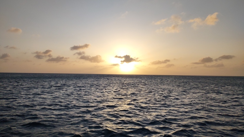 Married masculine nudist and thong men